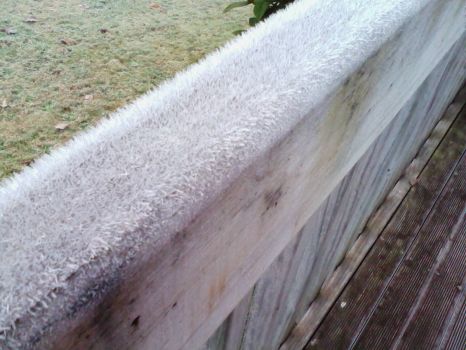 A cold and frosty morning