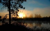 Sunrise 2