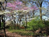 SPRING1-2014