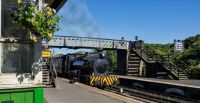 Steam Train