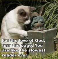 slow reader