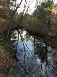Spencer brook
