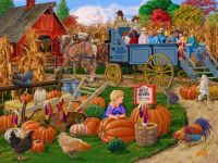 Hay Rides