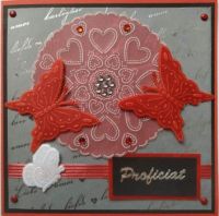 felicitatiekaart  trouwdag / congratulations for your wedding day