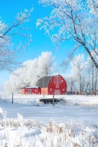 Winter Snow On The Farm