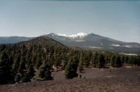 view of San Francisco Peaks from Needles