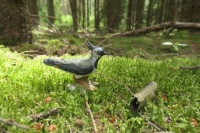 Little Birdie Challenge XV