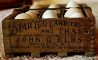 antique egg carrier