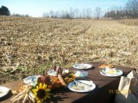 Our Thanksgiving in 2011
