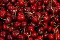 Utah cherries