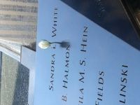 National September 11 Memorial