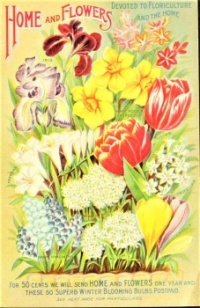 Themes Vintage ads - Home and Flowers