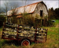 Old Barns in Tennessee series 2