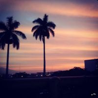 City Sunset