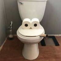 Toilet humour