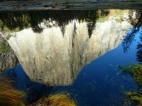 El Cap reflected in the river - Yosemite