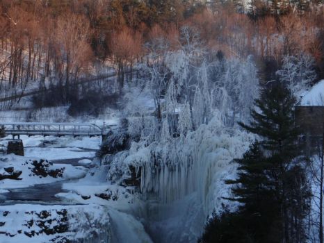 Sun-kissed trees at icy Ausable Chasm
