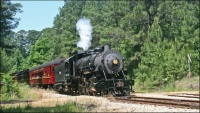 28 Southern Pine Lumber