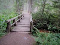Trail of the Shadows (Mt. Rainier NP)