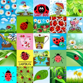 Ladybugs   820