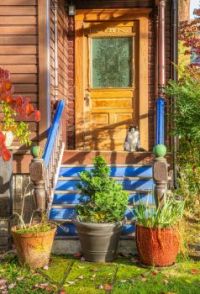 CAT ON THE PORCH