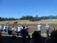 Last of the Horse Race Pics ~ Hope You All Enjoyed Them!