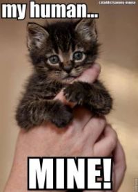 Go Get Yer Own!
