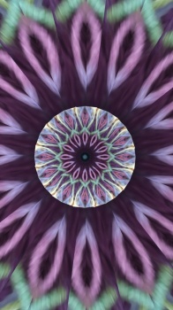 Kaleido