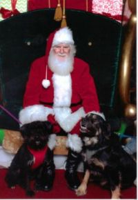 Terra & Tygrr with Santa
