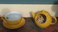 Teapot and cup for dogs.