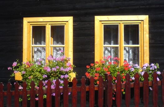 Windows, fence and flowers in Slovakia, by Hellyana Velinova (pic cropped)