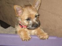 I am too cute !!!!