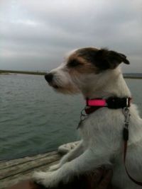 Molly on the high seas
