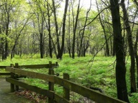 Life is really simple, but we insist on making it complicated. ~ Confucius