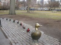 Make Way for Ducklings - Boston Common