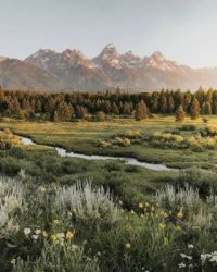 Grand Teton