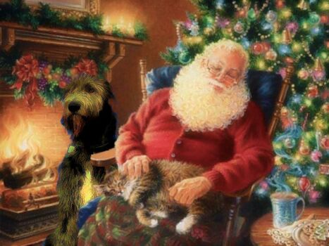 Santa, a Wolfhound and a Cat