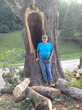 Dad and the tree