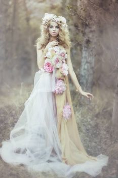 the_wild_rose_fairy_