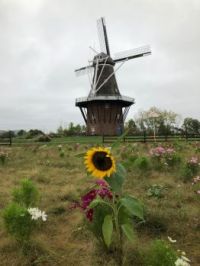 Dutch Windmill - Windmill Island Garden, Michigan