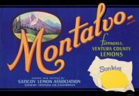 Montalvo brand