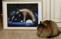 A picture of a cat, with an audience
