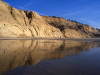 Torrey Pines - Reflection on the Beach