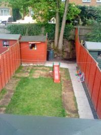 THE GARDEN