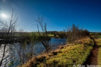 The River Clyde at the Green Bridge