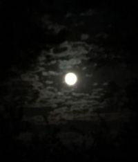 Full Moon Cloudy Skys