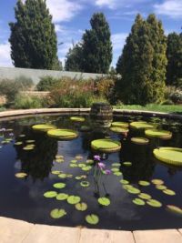 Denver Botanic Gardens