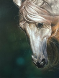 HORSE OIL PAINTING BY RAJASEEKHARAN