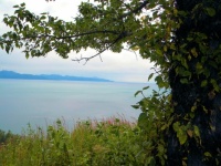 View over Kachemak Bay, Alaska