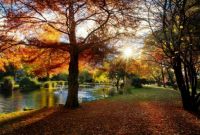 A Walk in the Park ~ Queenstown Gardens In The Autumn